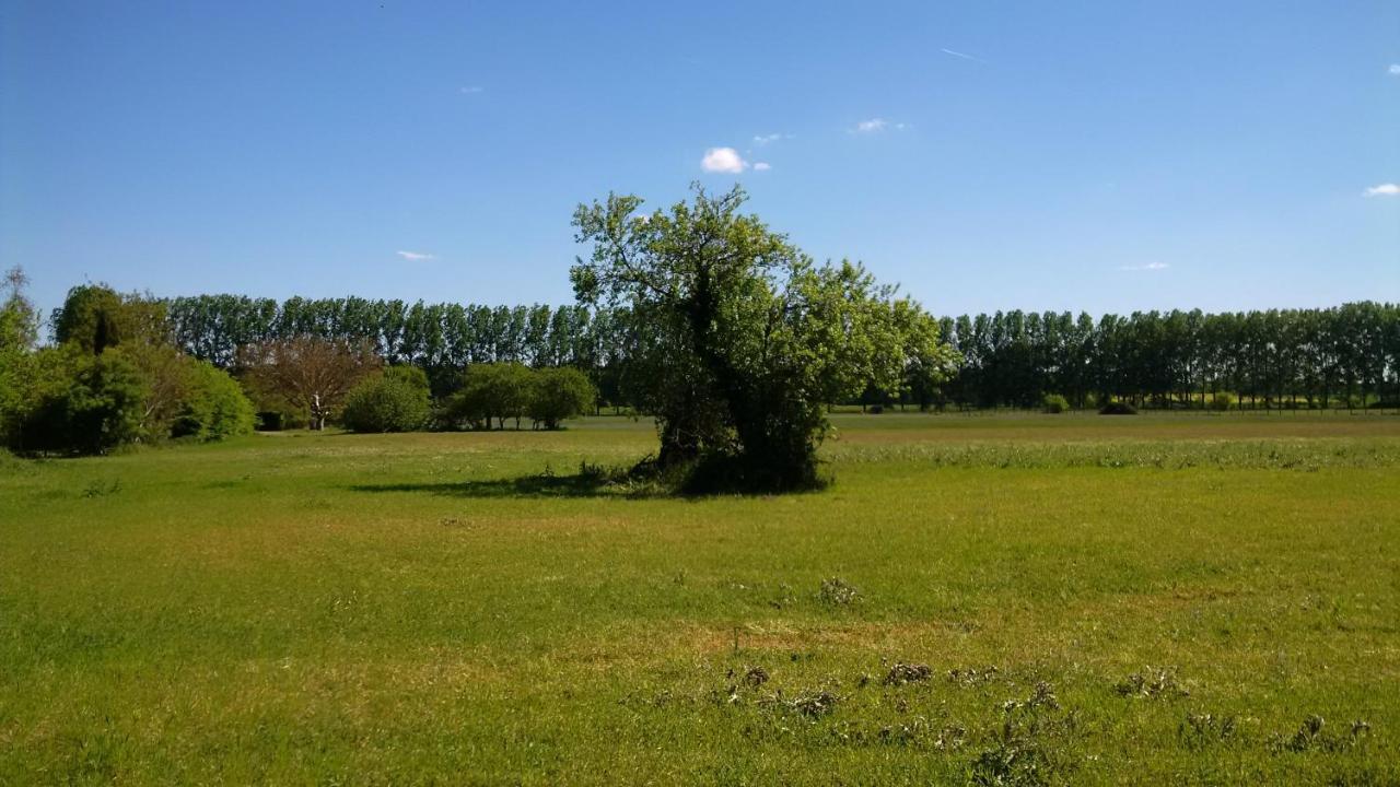 Gite Et Chambres D'Hotes Le Chene Billault Pouant Exterior foto